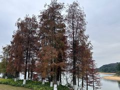 -松山湖风景区松湖烟雨