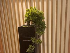 -大鹏饭店·金陵家宴(奥体中心店)