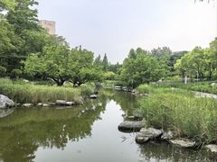 -大望京公园