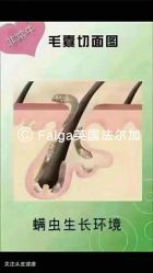 点击看大图 -十六番发型师事务所