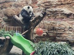 -石家庄市动物园