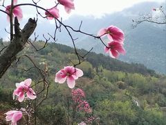 -九皇山景区