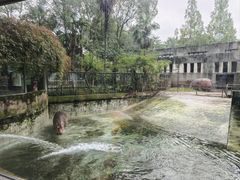 -成都动物园