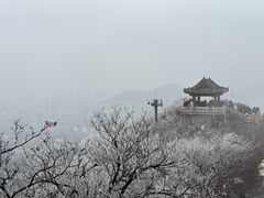 -千佛山风景名胜区