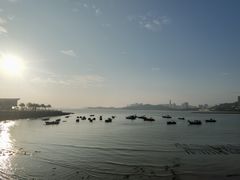 -野狸岛