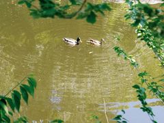 -国家植物园