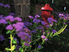 -北京张裕爱斐堡酒庄