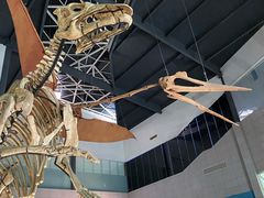 -湖南省地质博物馆