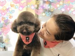 -喵汪宠物生活馆(涞坊路店)