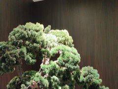 -喜湘宴·精致湖南菜(和平西桥店)