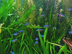 -上海海洋水族馆