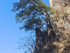 -塔云山