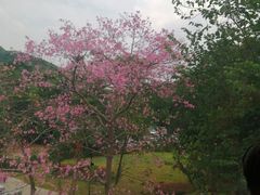 -白云山索道-售票处