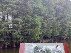 -广州市帽峰山景区