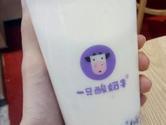 冻冻桂花酸奶-一只酸奶牛(欧亚大观店)