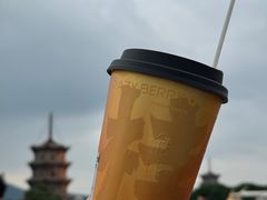 -莓超疯(百源店)