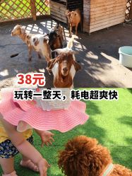 -萌宠亲子动物乐园(槐房万达店)