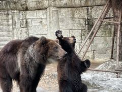 -灵玲国际马戏城