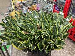 -世纪联华(临平邱山店)