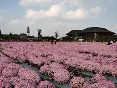 -中国天府农业博览园