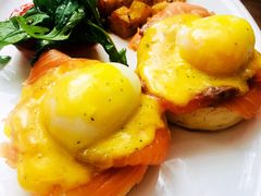 -Boxing Cat Brewery拳击猫精酿啤酒馆(永福店)