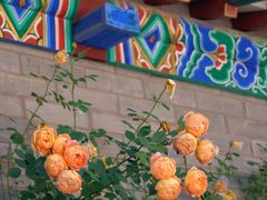 -滦州古城