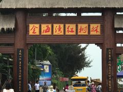 -北海金海湾红树林生态旅游区