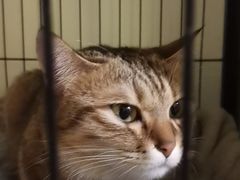 -H立方实景剧情密室(天河旗舰店)