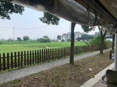 -莲花岛景区