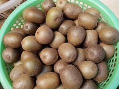 -宁波五龙潭景区