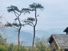 -莫干山风景区