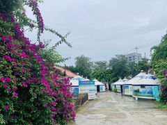 -巴山·烤全羊(高新总店)