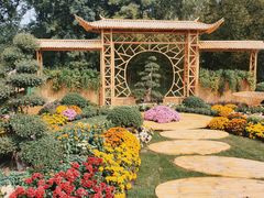 -上海共青森林公园