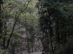 -雁荡山风景名胜区