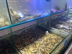 -四海蒸鲜蒸汽海鲜自助(北戴河店)