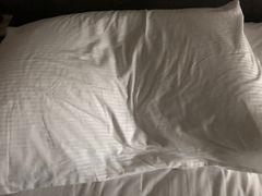 -舟山希尔顿酒店