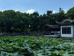 -无锡蠡湖国家湿地公园-蠡园