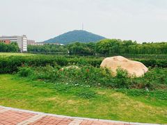 -安徽新华学院