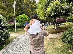 -铁山坪森林公园