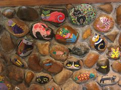 -猫咪博物馆(顶澳仔猫街店)