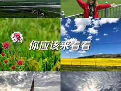 -黄河九曲第一湾
