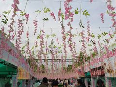 -济南国际园博园