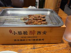 -福苗小骆驼烧烤(莲湖路店)