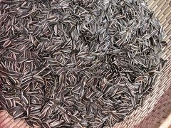 -鸽子窝(青塔店)