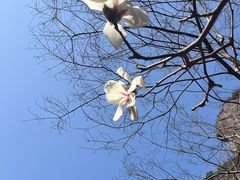 -雁荡山风景名胜区