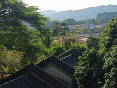 -广州神农草堂中医药博物馆