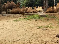 -兰剑驾校(汉阳校区)