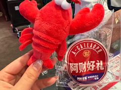 -阿财老铺·老蚌埠龙虾城(华夏总店)