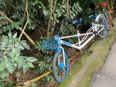 -三圣花乡旅游区