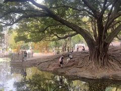 -晓港公园